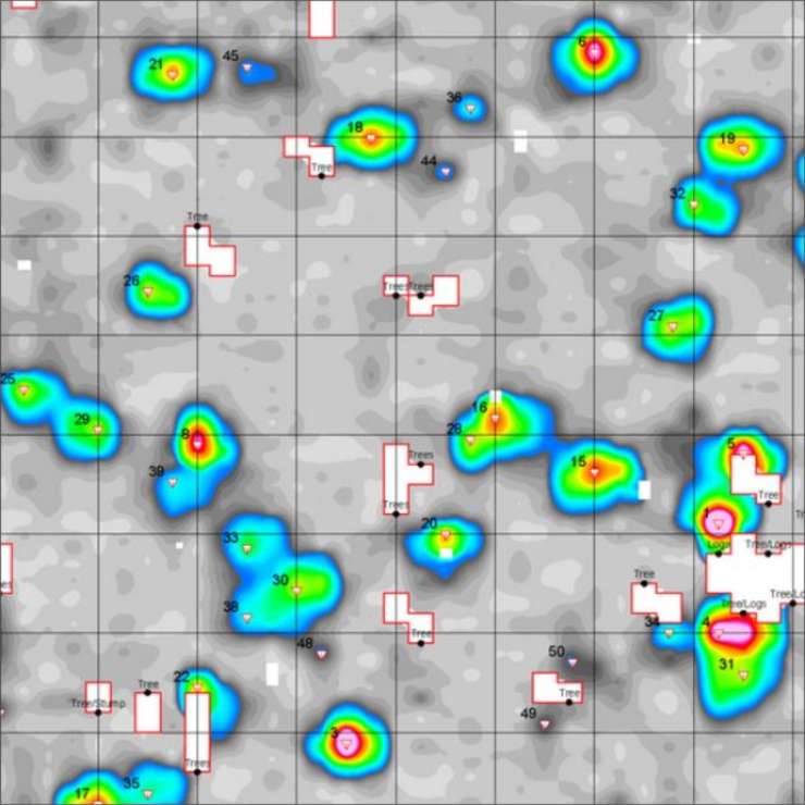 GeoSpectrum - Mapa anomalii elektromagnetycznych z wykorzystaniem konduktometru EM-63