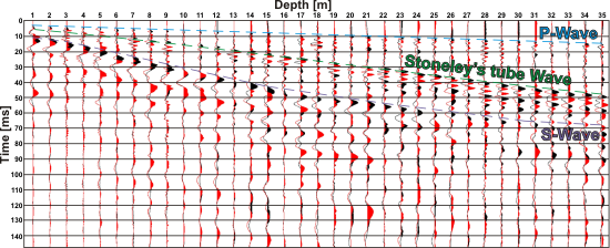 GeoSpectrum - An example of two superposed seismic uphole records with opposite polarity, together with the determined types of the waves